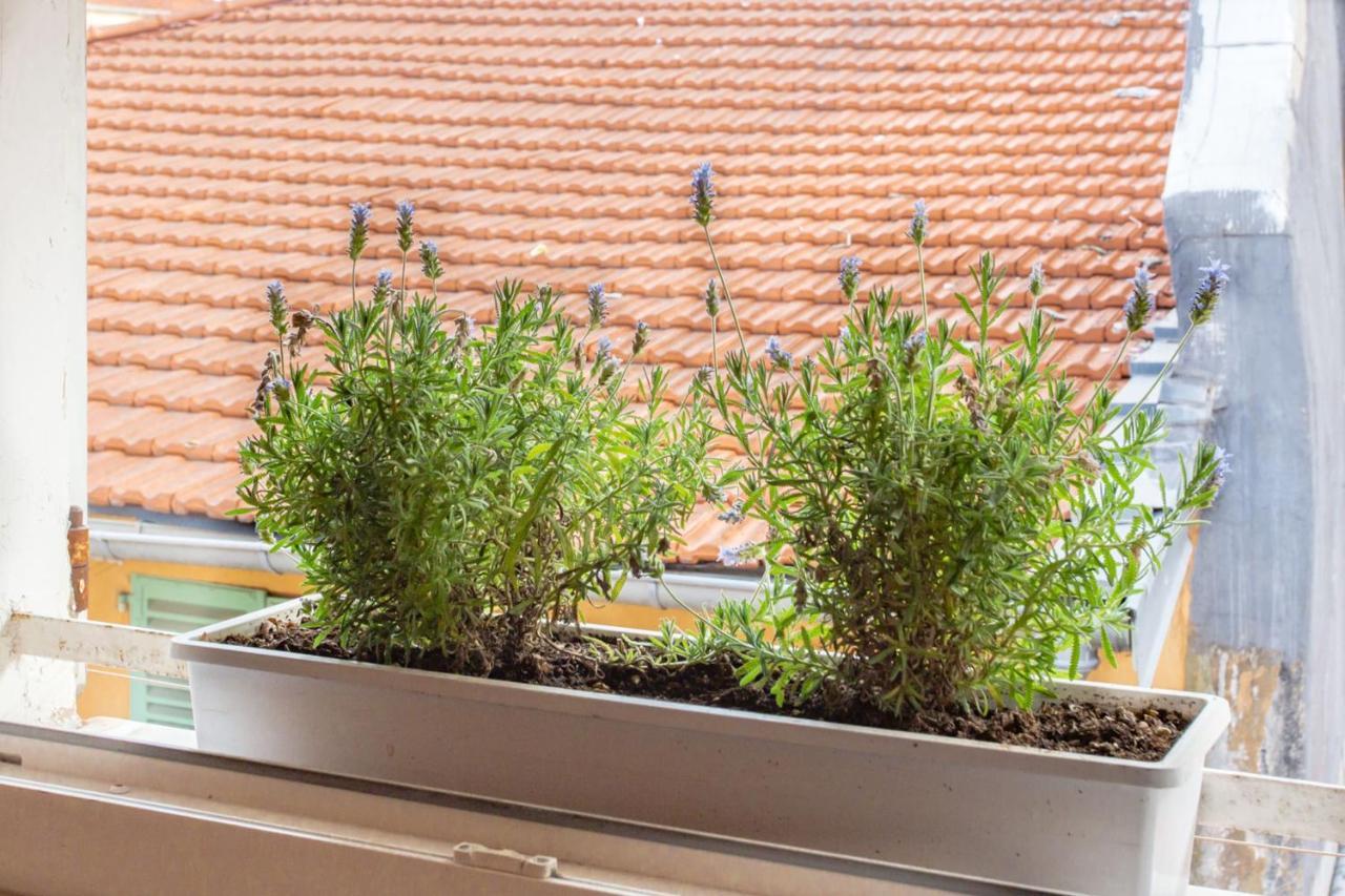 Appartement #5 Flower Markets Place 1min To Beach & Saleya Nice